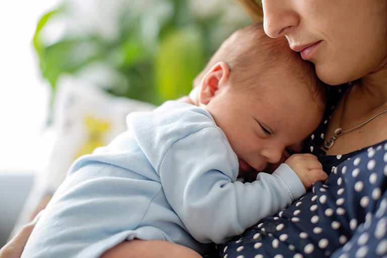 Baby resting on its mother