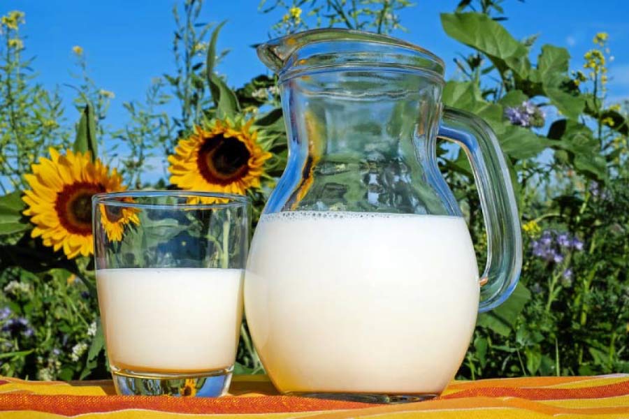 pitcher and glass of milk next to sunflowers